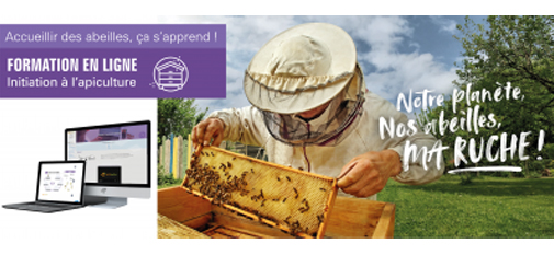 formation apiculture ; abeille ; ruche ; biodiversté ; 
